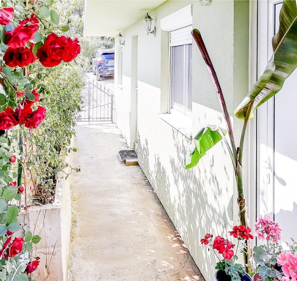 Apartments Siesta 티바트 외부 사진