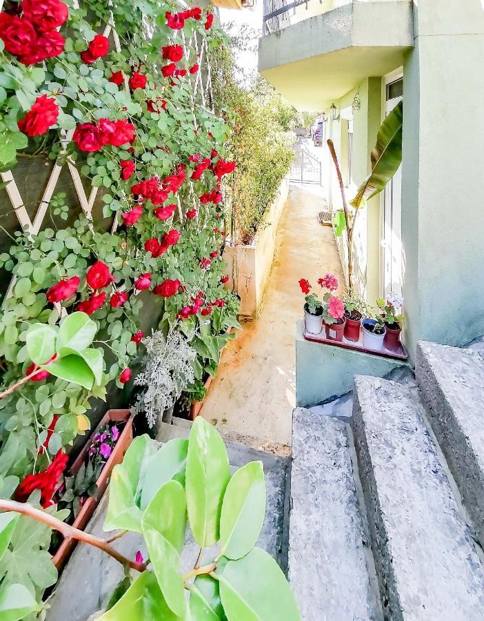 Apartments Siesta 티바트 외부 사진