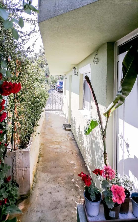 Apartments Siesta 티바트 외부 사진